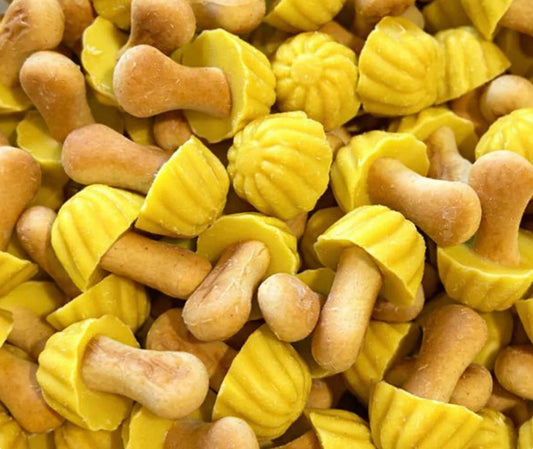 BISCUITS CHAMPIGNONS BANANE - 100g (environ 25) - [Nouveauté]
