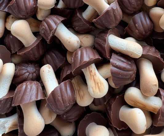 BISCUITS CHAMPIGNONS CHOCOLAT - 100g (environ 25) - [Nouveauté]